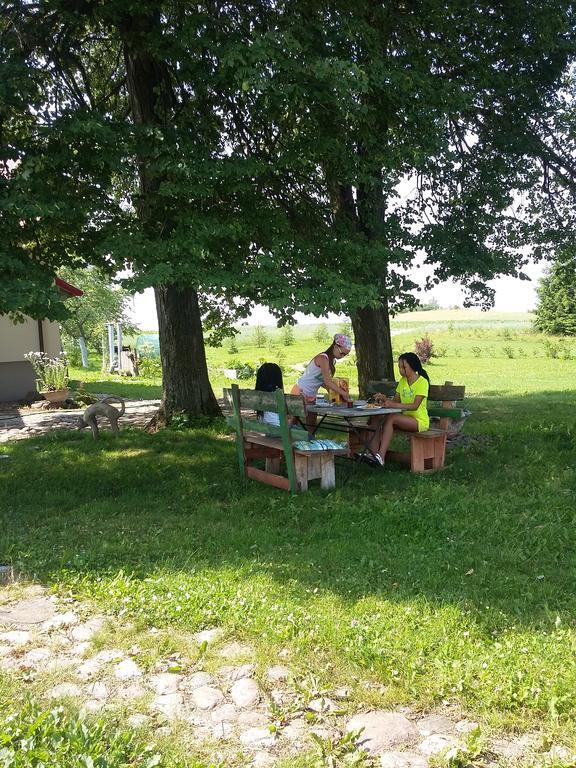 Agrocamp Villa Pawlowka  Exteriör bild