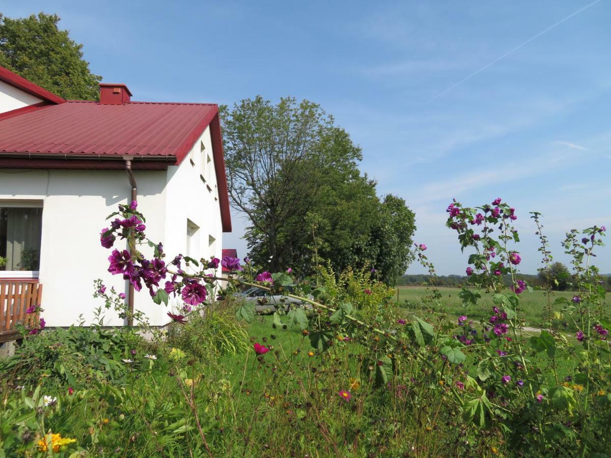 Agrocamp Villa Pawlowka  Exteriör bild